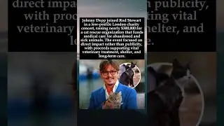 A Quiet Night of Music: How Johnny Depp Helped Save Cats #shorts