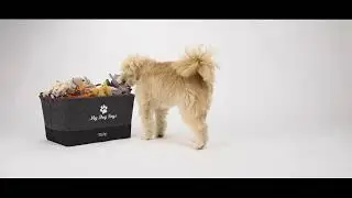 TrendPet - MyDogToys - Das neue Spielzeugk&ouml;rbchen