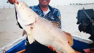 Mancing Barramundi Spot Turus Dapat Babon kakap putih besar sekali..!!!