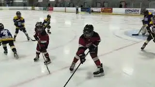Ajax Pickering Raiders U9 House League Red vs Purple