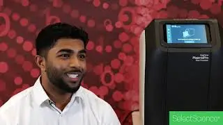Fully automated plasmid DNA purification in only 75 mins