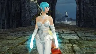 GW2 - Vaanss [Warrior] Spellbreaker v.7 - WvW & PvP