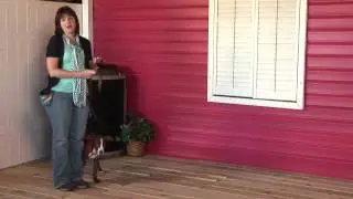 How to Walk Two Big Dogs Together Without One Pulling & the Other Stopping