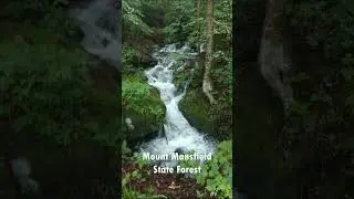 Famous parks in VERMONT