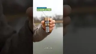 Accurately Measure Underwater Light from All Directions | LI-COR LI-192 Underwater PAR Sensor