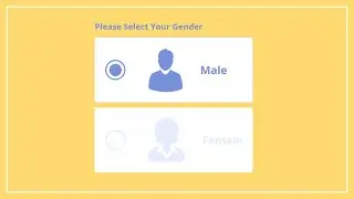 How to create the Custom Radio Button Cards using HTML and CSS