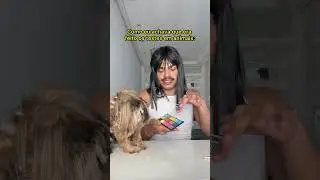 Como eu achava que era feito os testes em animais
