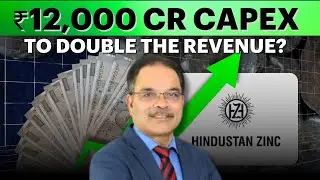 Hindustan Zinc On Vedanta Stake Sale, Capex Plans, Dividend Policy & More | Hindustan Zinc Share