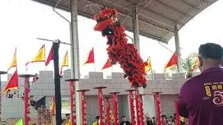 10_沙巴强发（弘徳）龙狮团B队