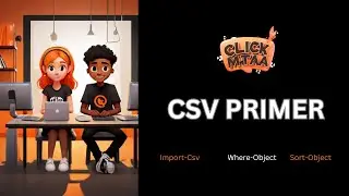 CSV PRIMER
