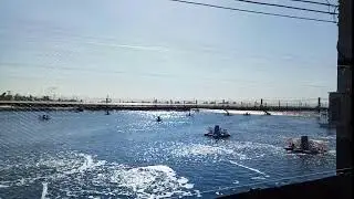 Roots blower aerator for high density aquaculture shrimp farm in Philippine