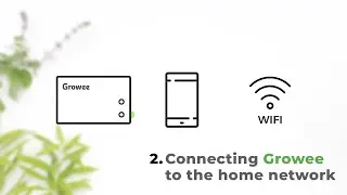 Connecting the Growee Device to the Home Network
