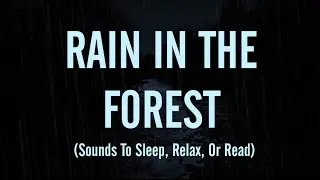 🌧SOUNDS OF RAIN, OWLS &  HOWLING WINDS (Sleep, Relax, Or Read)