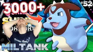 MOST HYPE SHINY EVER!! Insane Shiny Miltank! | Sword and Shield Shiny Reaction | #52