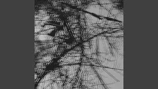 Non-Local Hidden Variable (Ambient Version)