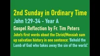 John 1:29-34: The 2nd Sunday of Ordinary Time, Year A, Gospel Reflection, Fr. Tim Peters