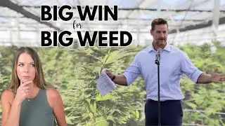 This Marijuana Bill Is a Gift to Big Corporations
