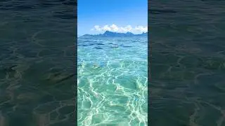 Tahiti 🩵🏝️  #peace #calm #selfcare #relax #vacation #mentalhealth #ocean
