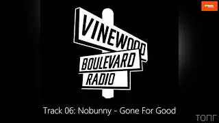 На велосипеде по Краснодару под Vinewood Boulevard Radio. 06 - Nobunny - Gone For Good