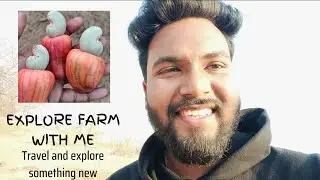 Exploring another side of kokan Part- II |Vlog 13    #ratnagiri #farminginkokan #mango #cashew