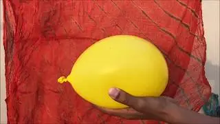 Iphone X | The Slow Motion Captures