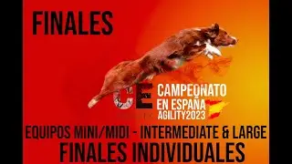 FINALES DEL CAMPEONATO EN ESPA&Ntilde;A DE AGILITY RSCE 2023 INDIVIDUAL Y EQUIPOS