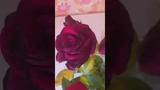 29 июня 2023 г.