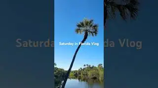 Florida Vlog #floridavlog #floridavlogs #floridavlogger #dayinmylife #dayinmylifevlog