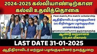 🔥 TN Sholarship 2024-25 |TN State Govt Scholarship Pre & Post Matric | Apply Online #sholarship2025