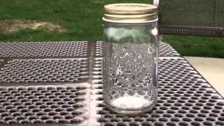Electronic Butterfly in Jar