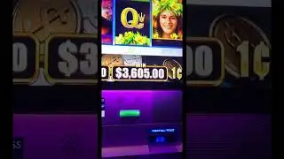#hugejackpot #foryou #massivejackpot #viralvideo #casinojackpot#slotmachine #thebigjackpot #gambling