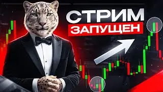 Топ Трейдер в прямом эфире