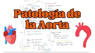 PATOLOGÍAS de la AORTA