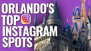 The 7 Best Photo Spots in Orlando