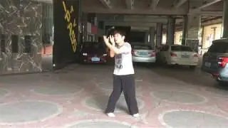 Fu Style Bagua Yang Palm 　傅振嵩伝八卦掌　陽八卦「活」