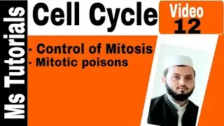 Cell cycle lecture 12|Control of Mitosis|Mitotic piosons|MS Tutorials