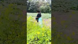 ধীরে থাকার অনুমতি | Calm Bangla Mindfulness Story | Nasrin Hamid