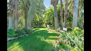 California Modern Oasis