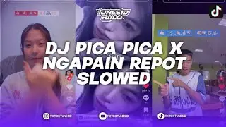 DJ PICA PICA 2 X NGAPAIN REPOT, DJ TIMUR PRIDE MASHUP BREAKBEAT VERSI SLOWED REMIX BY TUNES RMX