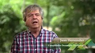 UdeA - Oferta Acad&eacute;mica en las Regiones: Pregrado en Desarrollo Territorial