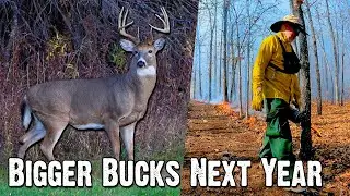 Deer Season's Over.. Here's How to Get Bigger Bucks Next Year! (853)