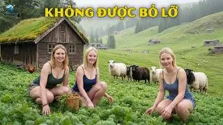 Top 50 Địa Điểm Đẹp Nhất Nước Đức Và Mỹ Mà Bạn Không Nên Bỏ Lỡ | Thiên Hà TV