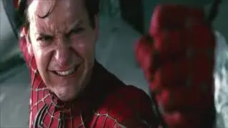 Spiderman TAS(Raimi Verse)