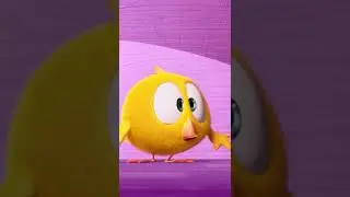 SHORTS CHICKY 🐥 HEY, I LIKE YOU 💗 Where's Chicky #shorts