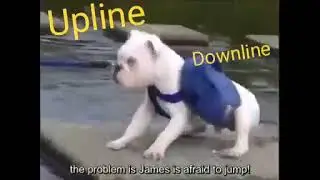 best motivational upline downline video network marketing