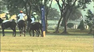 Polo match in Delhi, India