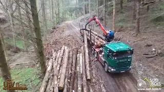 De la Forêt à la Scierie UFV - Sud Bois
