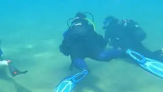 Try Dive Playa Chica Safari Diving