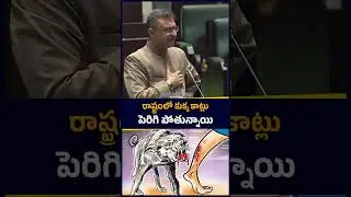 రాష్ట్రంలో కుక్క కాట్లు పెరిగి పోతున్నాయి : Akbaruddin Owaisi | CM Revanth Reddy | KTR | greatandhra
