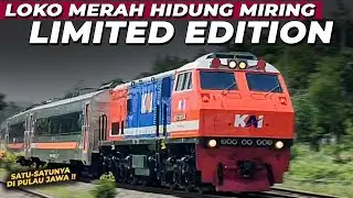 LOKOMOTIF MERAH HIDUNG MIRING SATU-SATUNYA YANG ADA  DIJAWA ! Berburu Kereta di Stasiun Malasan